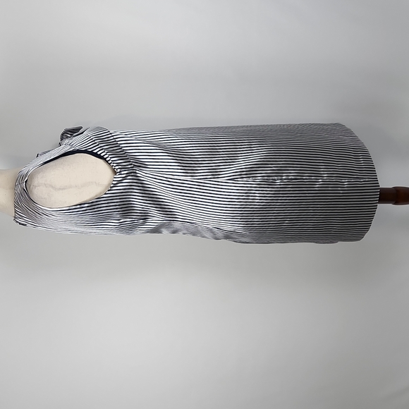 NWOT Banana Republic Preppy Navy and Metallic Silver Stripe Shift Dress Size 12 - Picture 9 of 16